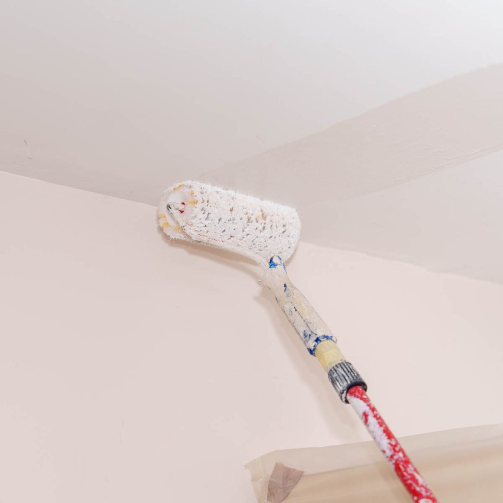 Création de contenu pour Esprit Reno